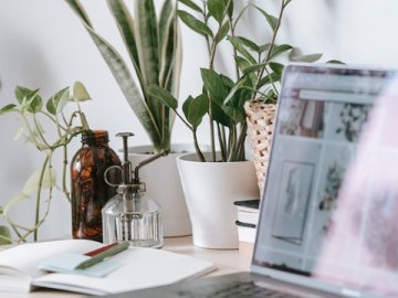 內(nèi)地注冊(cè)香港公司的完整流程詳解