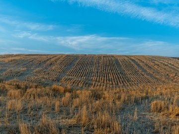 香港公司章程修改的法定流程與實(shí)務(wù)要求詳解