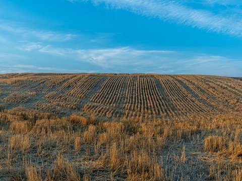 香港公司章程修改的法定流程與實(shí)務(wù)要求詳解 香港公司章程修改的法定流程與實(shí)務(wù)要求詳解